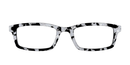 The Black & White Pearl Tortoise