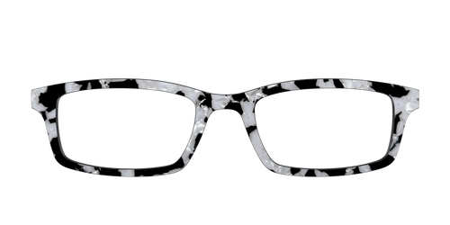 The Black & White Pearl Tortoise