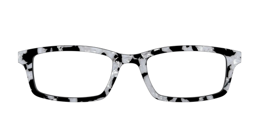 The Black & White Pearl Tortoise