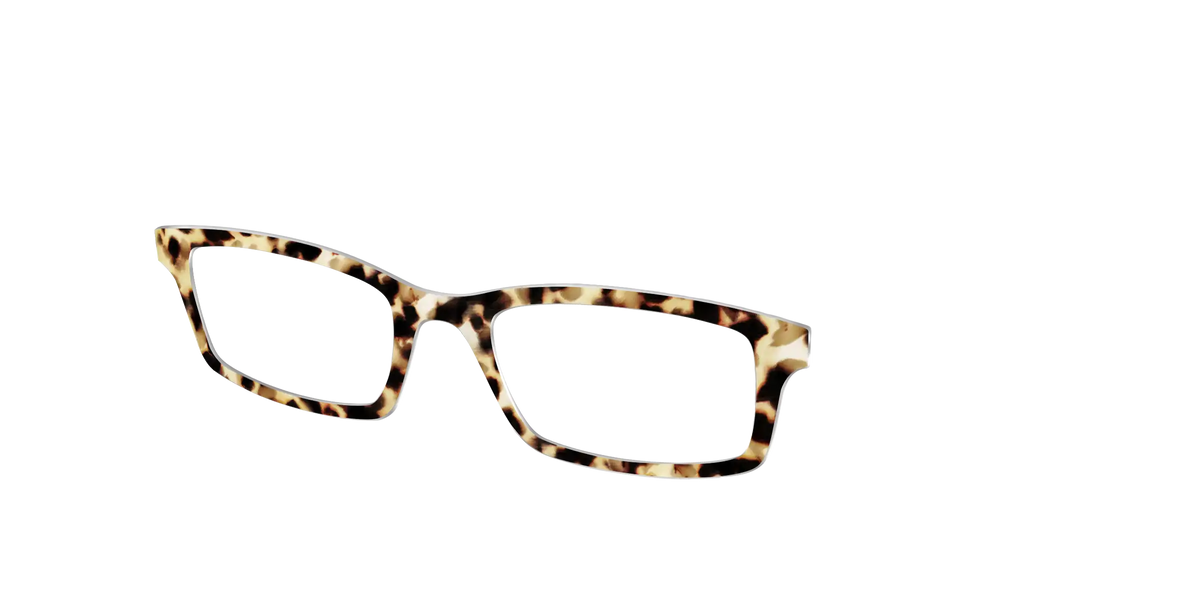 The Brown Sugar Tortoise