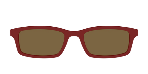The Polarized Burgundy Sun Top