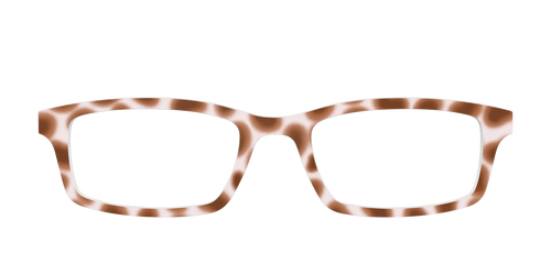 The Caffé Tortoise