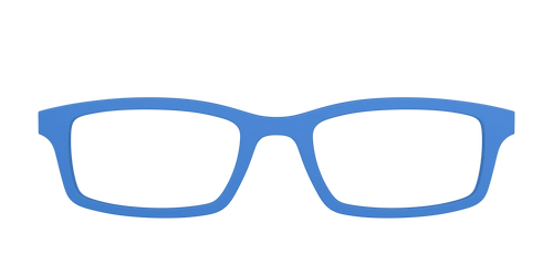 The Cornflower Blue