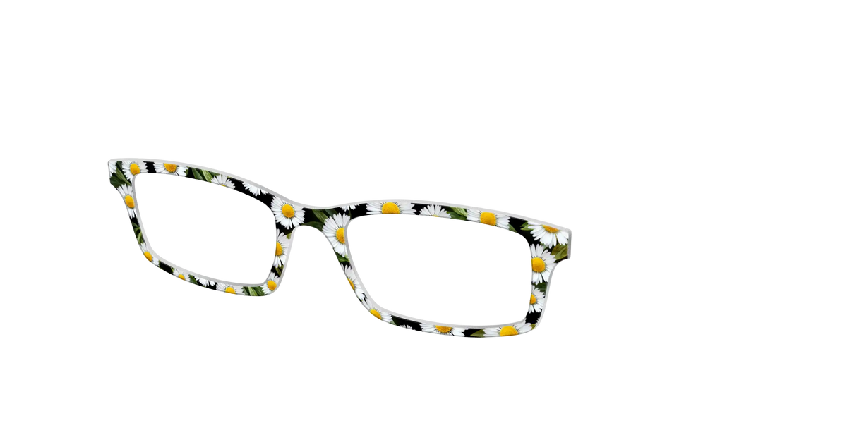 The Delicate Daisies
