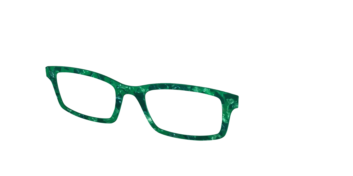 The Emerald Pearl Tortoise