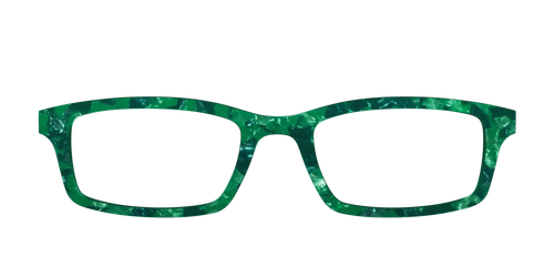 The Emerald Pearl Tortoise
