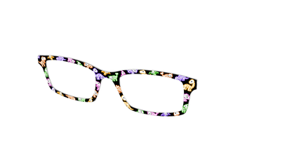 The Funky Fossils