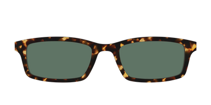 The Non-Polarized Green Tortoise Sun Top