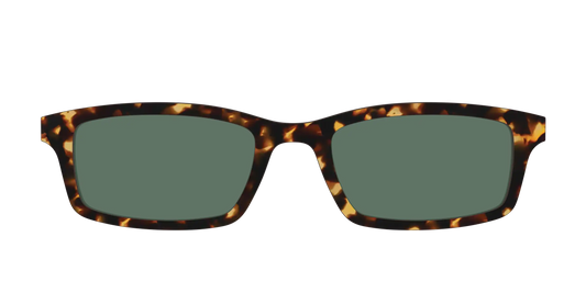 The Non-Polarized Green Tortoise Sun Top