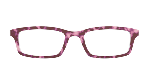 The Maroon Tortoise