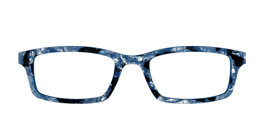 The Midnight Blue Pearl Tortoise