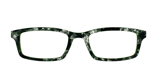 The Olive Pearl Tortoise