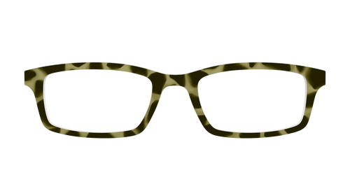 The Olive Tortoise