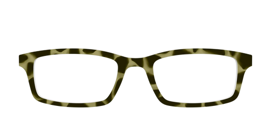 The Olive Tortoise