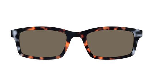 The Polarized Gray & Amber Tortoise Sun Top