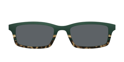 The Polarized Spruce Tortoise Sun Top