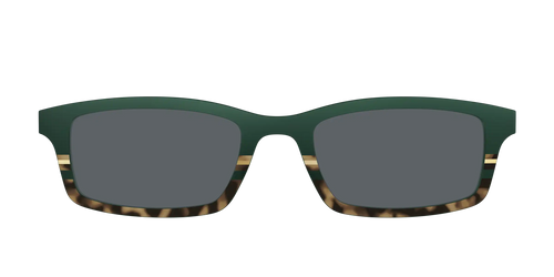 The Polarized Spruce Tortoise Sun Top