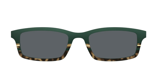 The Polarized Spruce Tortoise Sun Top