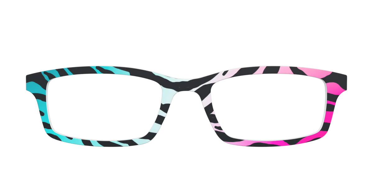 The Rainbow Zebra
