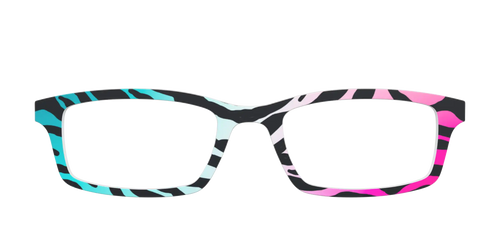The Rainbow Zebra