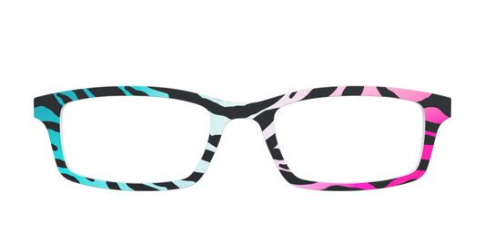 The Rainbow Zebra
