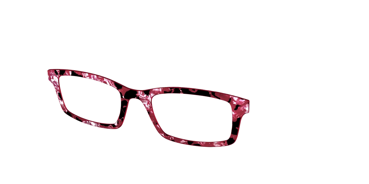 The Raspberry Pearl Tortoise