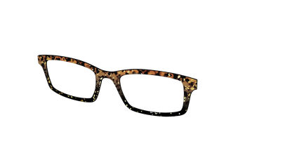 The Rustic Gold Leaf Tortoise