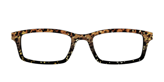 The Rustic Gold Leaf Tortoise