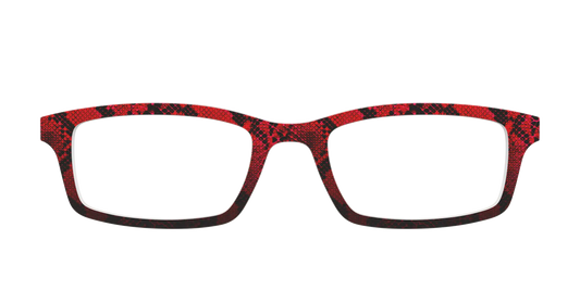 The Statement Snakeskin