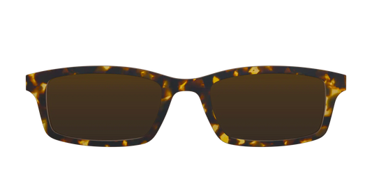 The Polarized Tortoise Sun Top