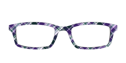 The Winter Winds Plaid