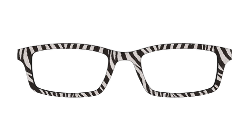The Zebra Stripes