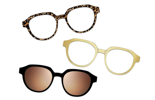 Vintage Brown Tortoise with Gold Set