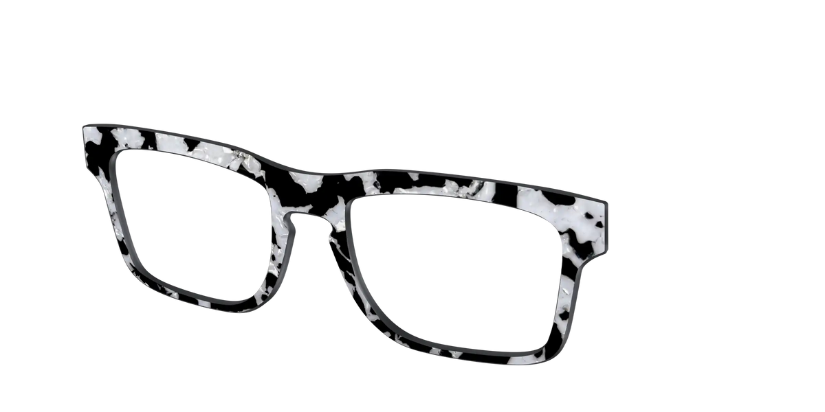 The Black & White Pearl Tortoise