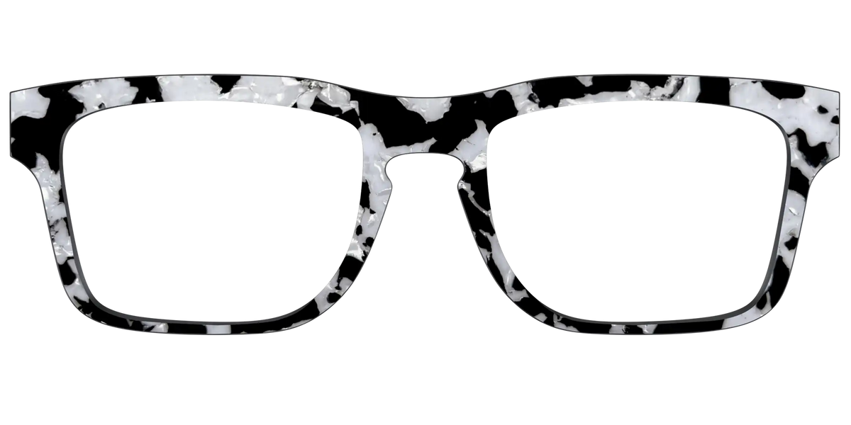 The Black & White Pearl Tortoise