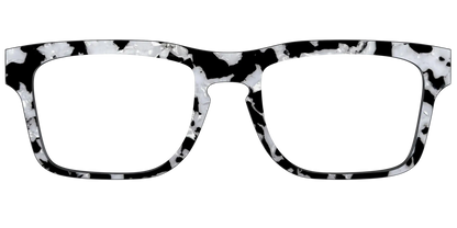 The Black & White Pearl Tortoise