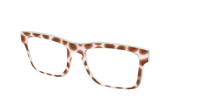 The Caffé Tortoise