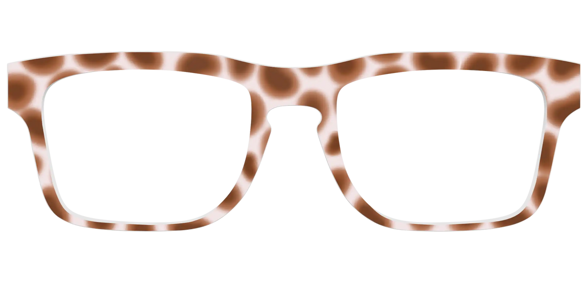 The Caffé Tortoise