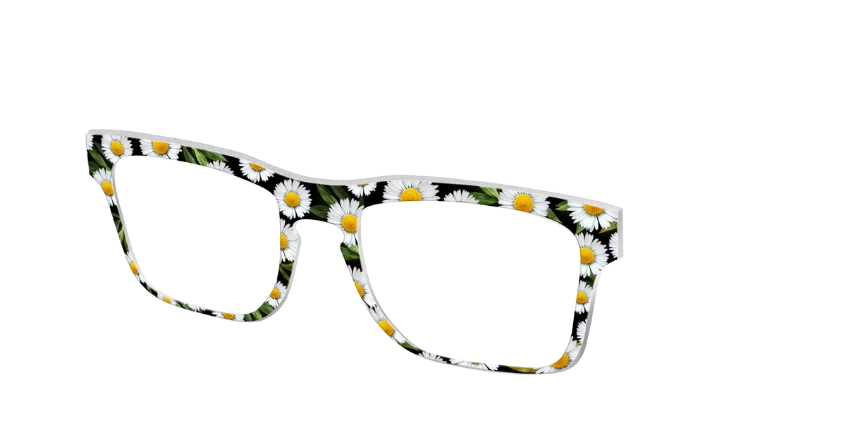 The Delicate Daisies