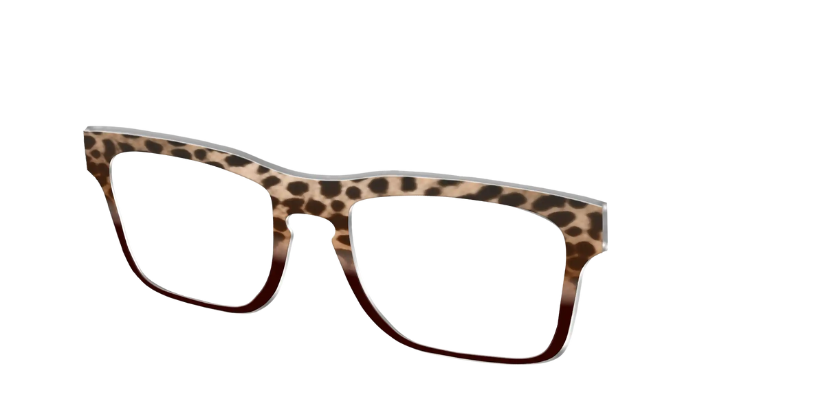 The Jungle Cat Tortoise