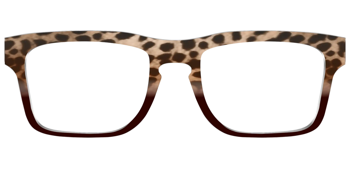 The Jungle Cat Tortoise