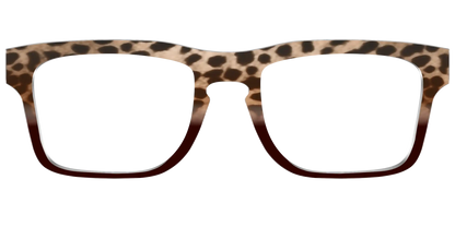 The Jungle Cat Tortoise