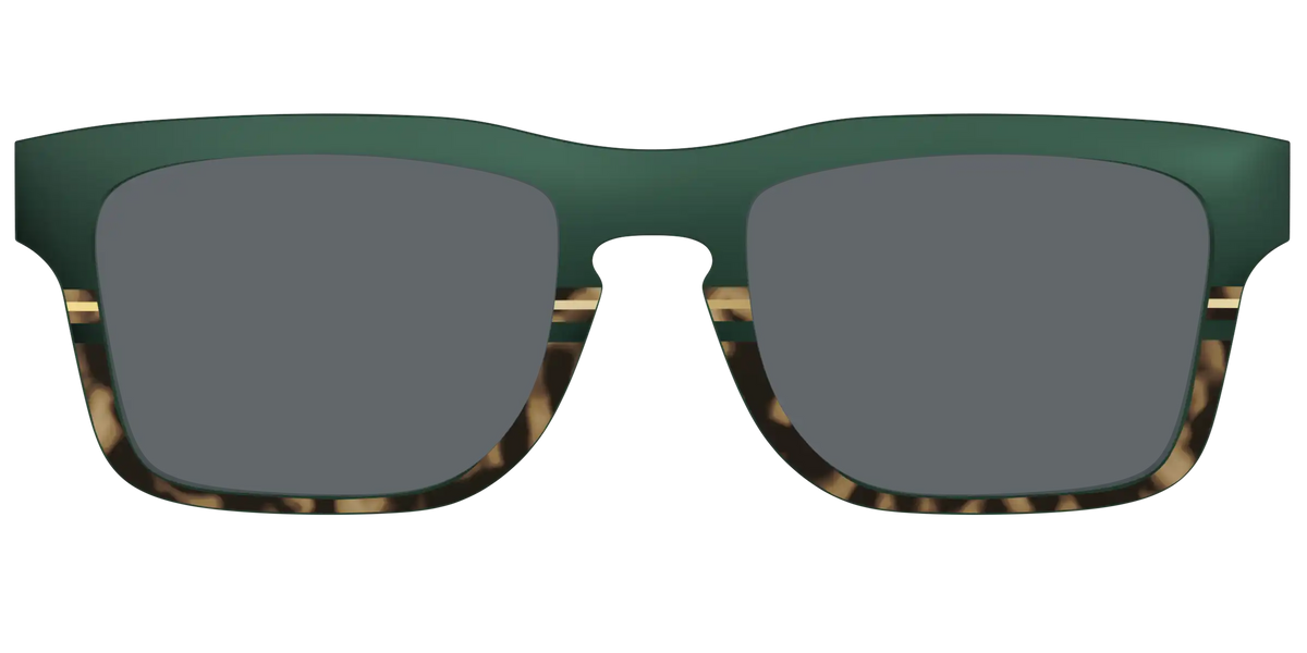 The Polarized Spruce Tortoise Sun Top