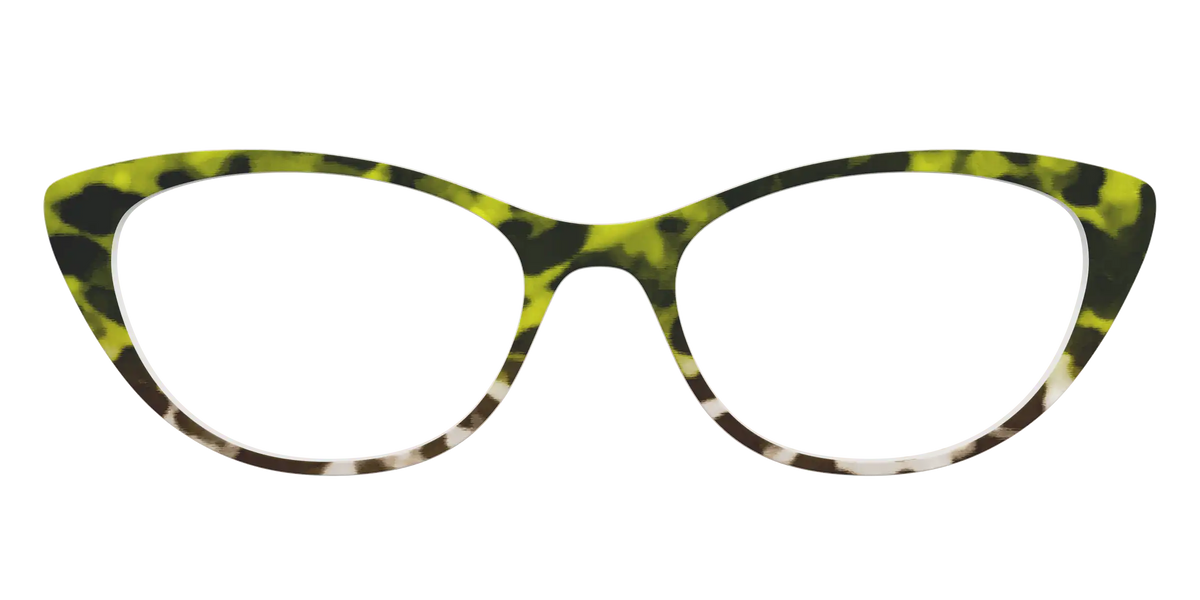 The Avocado to Ivory Tortoise