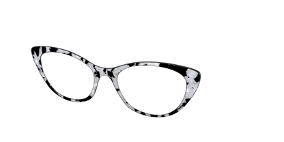 The Black & White Pearl Tortoise