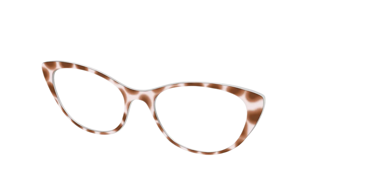 The Caffé Tortoise