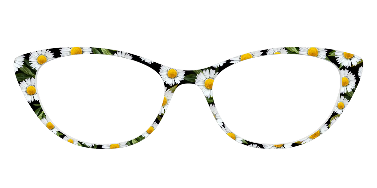 The Delicate Daisies