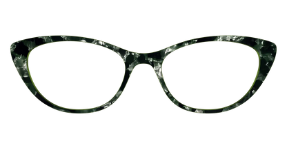 The Olive Pearl Tortoise