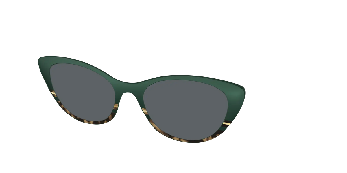 The Polarized Spruce Tortoise Sun Top