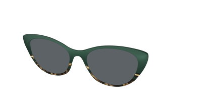 The Polarized Spruce Tortoise Sun Top
